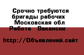 Срочно требуются бригады рабочих - Московская обл. Работа » Вакансии   